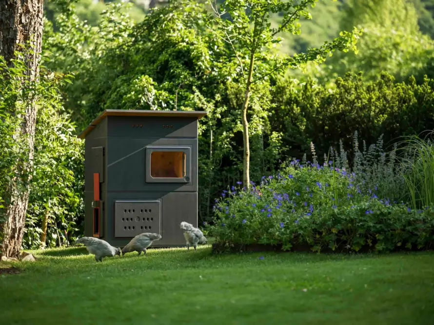 7 REQUIREMENTS YOUR CHICKEN COOP MUST FULFIL.