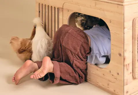 7 Anforderungen, die dein Hühnerstall erfüllen muss.