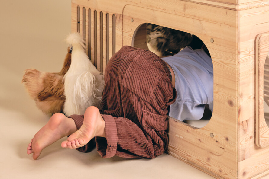 7 REQUIREMENTS YOUR CHICKEN COOP MUST FULFIL.
