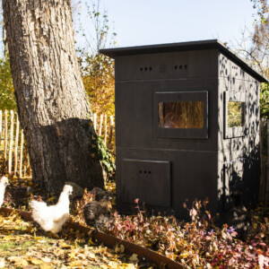 Hühnerstall HANEHUS