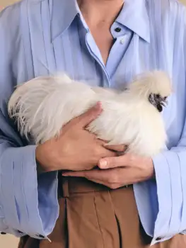 Peck this out!