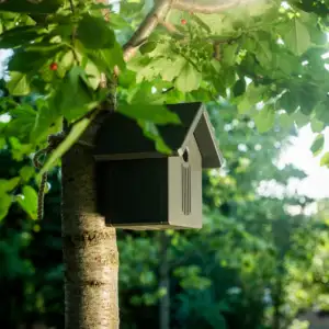 Hanehus Nistkasten in Anthrazit hängt an einem Kirschbaum im Garten, umgeben von grünen Blättern.