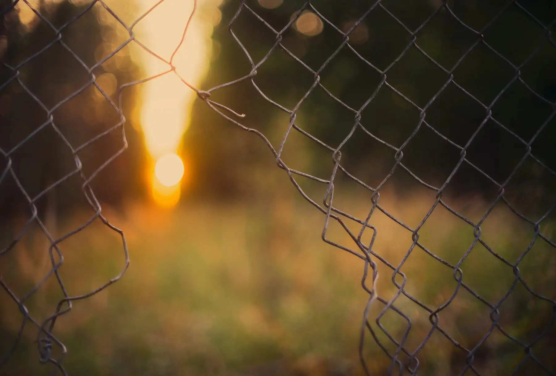 Zerrissener Maschendrahtzaun mit offenen, spitzen Drahtenden bei Sonnenuntergang – eine Verletzungsgefahr für Hühner.